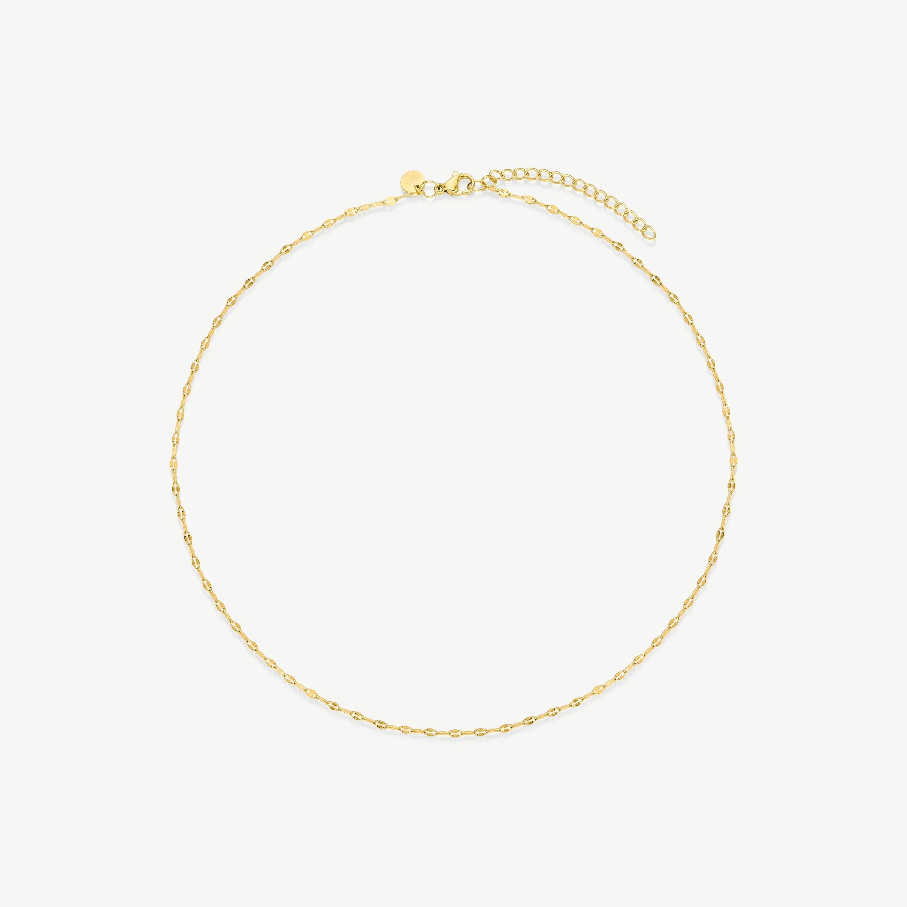 Delicate gold chain necklace with small oval links and adjustable clasp on white background