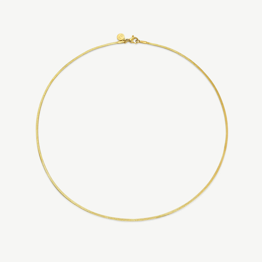 Simple elegant gold snake chain necklace with lobster clasp on white background